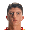 Taha Altikardes