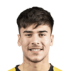 Brian Mansilla