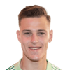 Radek Vitek