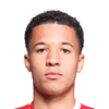 Tiago Santos