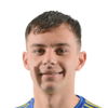 Raul Bucur