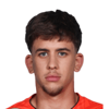 Daniel Radnoti