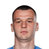 Novak Micovic
