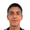 Martin Araya