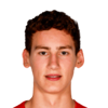 Ruben van Bommel