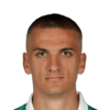 Nenad Cvetkovic