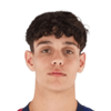 Hector Fort