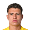 Diego Mina