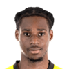 Nick Akoto
