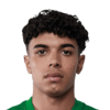 Joao Simoes