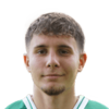 Altin Ibisi