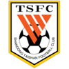 Shandong Taishan