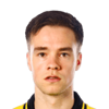 Leo Vaisanen
