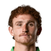 Josh Sargent