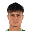 Razvan Ducan