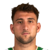 Aleksandar Cirkovic
