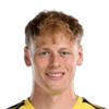 Lukas Hornicek