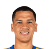 Cesar Araujo