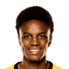 Alvyn Sanches