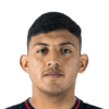 Bruno Leyes