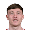 Alex Nolan
