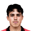 Mateo Piedra
