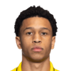 Daniel Bassi