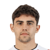 Andres Meli