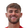 Leonardo Vonic