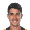 Gonzalo Mottes