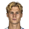 Theo Bergvall