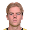 Johan Meyer
