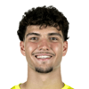 Tiago Pereira Cardoso