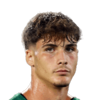 Davide Renzetti