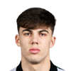 Max Kovalevskis