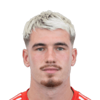 Nicolo Radaelli
