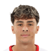 Denis Taroi