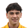 Diego Pugno