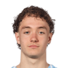 Anton Hoog