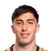 Mattia Mannini