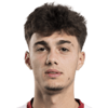 Nikola Mituljikic
