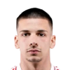 Viktor Radojevic