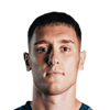 Vojin Serafimovic