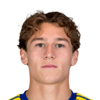 Ryan van de Pavert