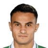 Haris Ismailcebioglu