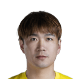 Zhao Honglue