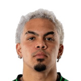 Dani Pereira