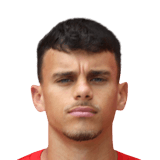 Gustavo