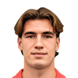 Nicolo Radaelli