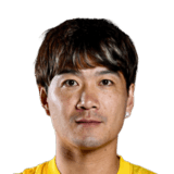 Zhao Honglue
